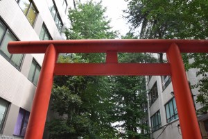 Hanaszono-jinja Schrein1