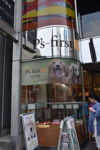 Pets First, wirklich