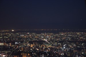 Skytree (3)