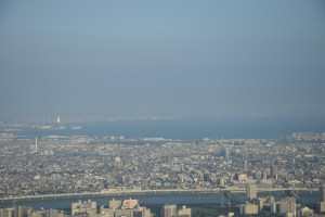Skytree Daytime (2)