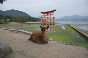 Miyajima  (2)